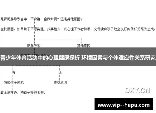 青少年体育活动中的心理健康探析 环境因素与个体适应性关系研究